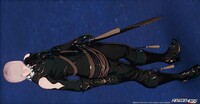 ファイル 5584-1.jpg